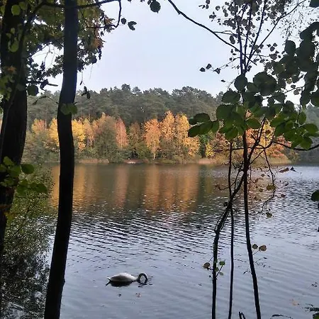 아파트 3-pokojowy Park - Location *